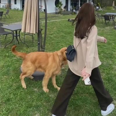 不瘦降之谜