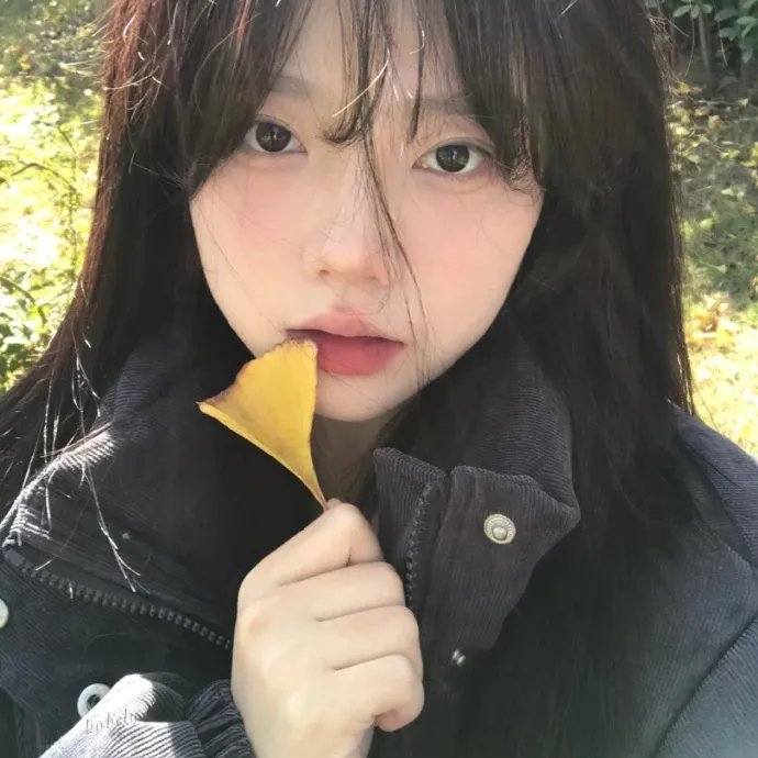 魅力四射2